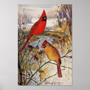 Póster Vintage Robert Bruce Horsfall Cardinal