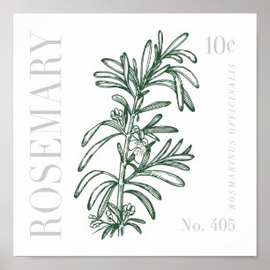 Póster Vintage Rosemary