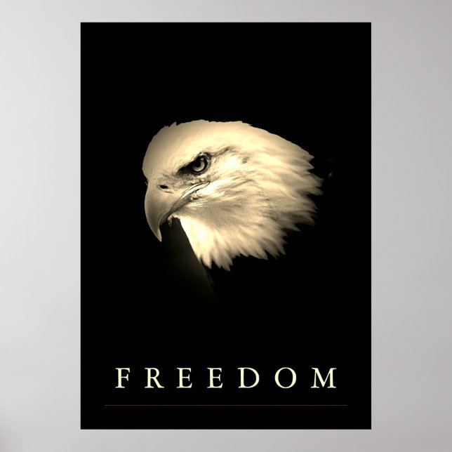 Póster Vintage Sepia Freedom American Eagle Patriotic (Frente)