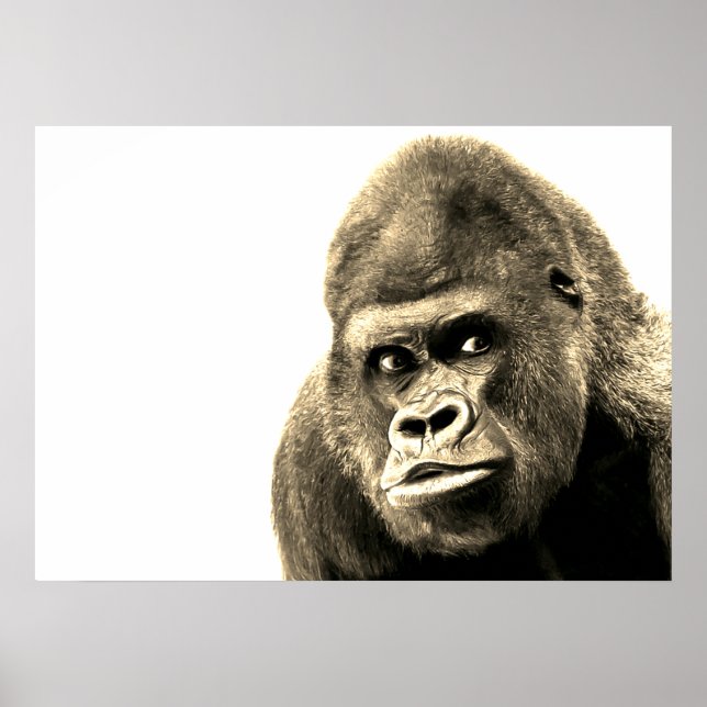 Póster Vintage Sepia Gorilla (Frente)