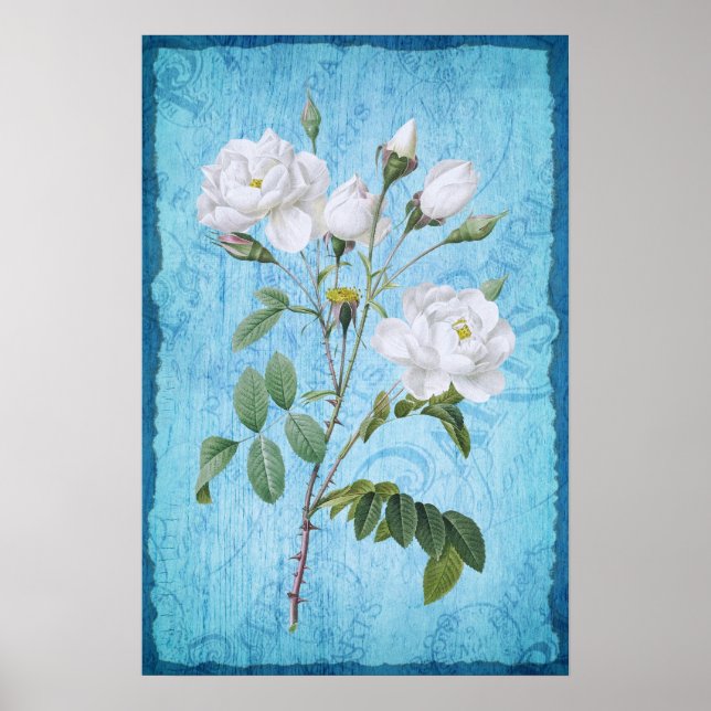 Póster Vintage Shabby Chic Rosas Blancas Madera Azul (Frente)