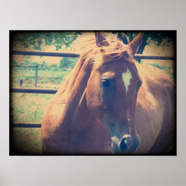 Póster Vintage Sorrel (Frente)