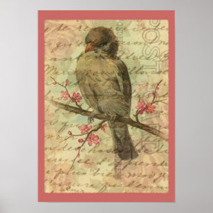Póster Vintage Sparrow