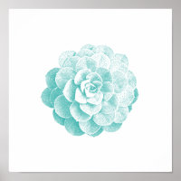 Vintage Succulant Plant Spring Garden