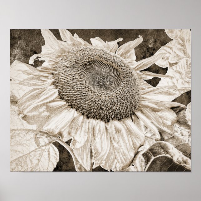 Póster Vintage Sunflower Sepia Brown Art Decoupage (Frente)