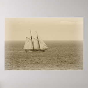 Póster Vintage Swift Sure