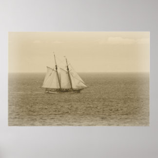 Póster Vintage Swift Sure