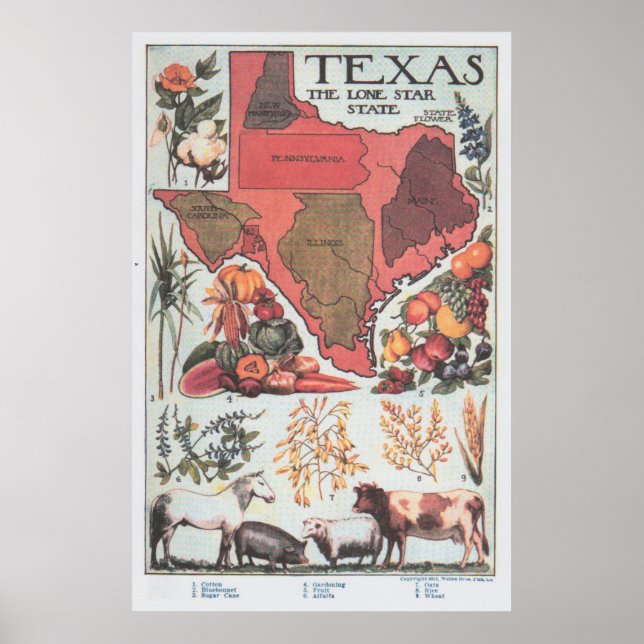 Póster Vintage Texas Agricultural Map (1922) (Frente)
