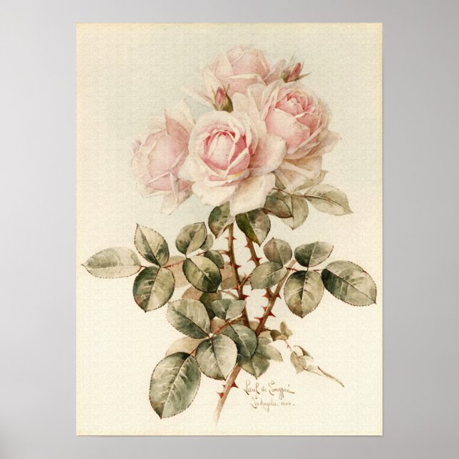 Póster Vintage Victorian Romantic Roses (Frente)