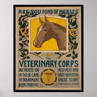 Póster VINTAGE VINTAGE WW1. Poster de Cuerpo