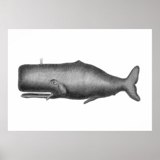 Póster Vintage Whale