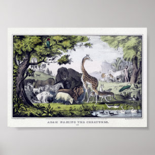 Póster Vintage Wild Animals Illustration