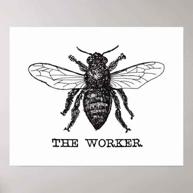Póster Vintage Worker Bee Ilustracion Art (Frente)