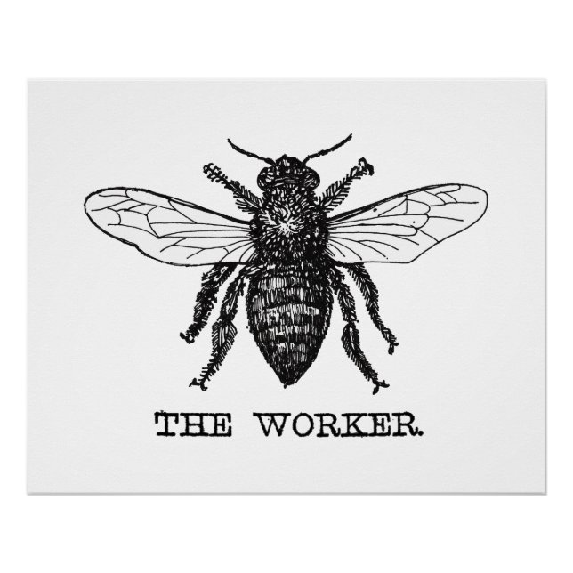 Póster Vintage Worker Bee Ilustracion Art (Anverso)