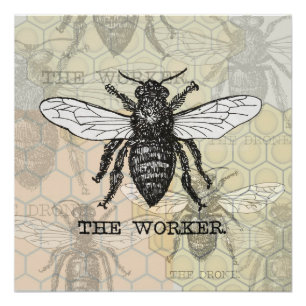 Póster Vintage Worker Bee Ilustracion Art