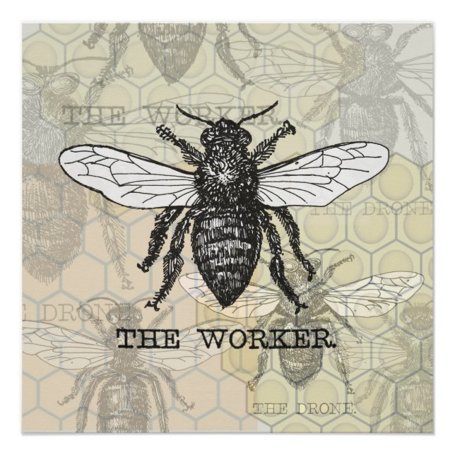 Póster Vintage Worker Bee Ilustracion Art (Anverso)