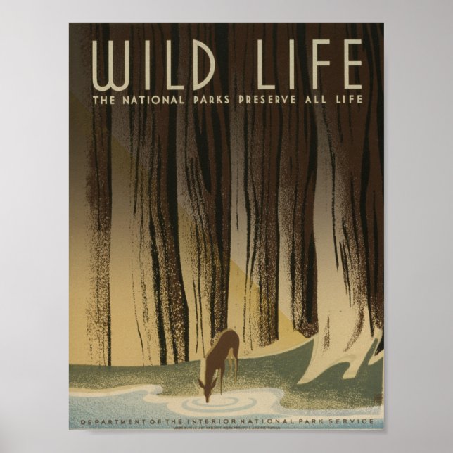 Póster Vintage WPA Vida Silvestre (Frente)