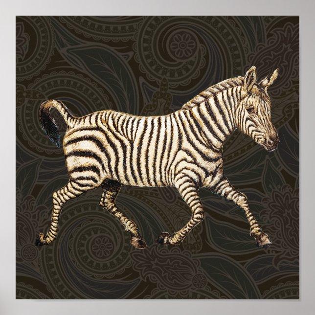 Póster Vintage zebra con diseño paisajista (Frente)
