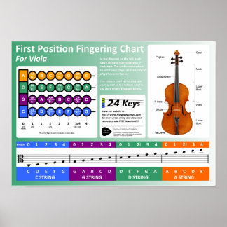 Póster Viola Fingering Chart