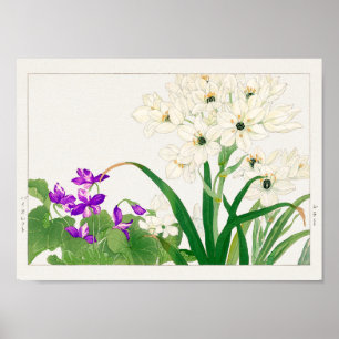 Póster Viola, flor estrella árabe de Tanigami Konan