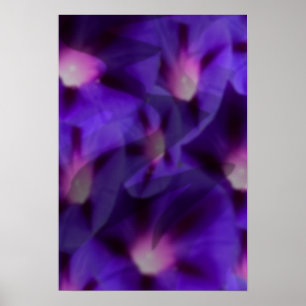 Póster Viola Skys