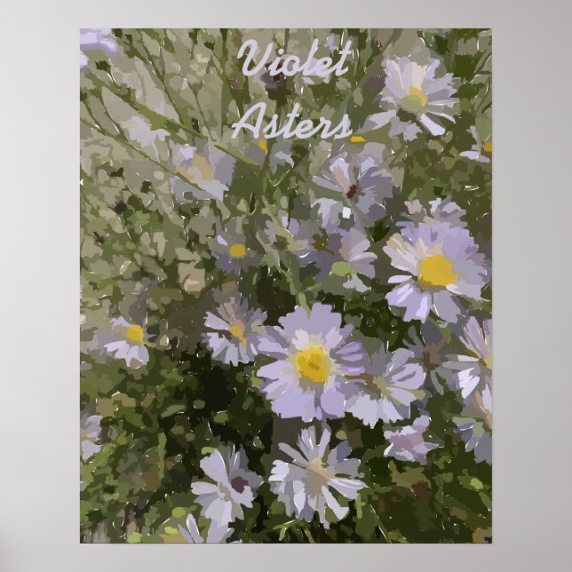 Póster Violet Asters Poster (Frente)