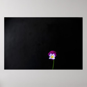 Póster Violet Flower Wapm