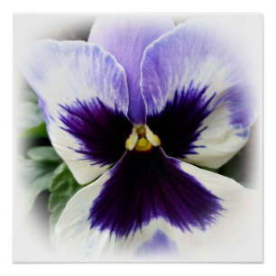 Póster violeta profundo sobre pensamiento blanco