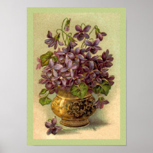 Póster Violetas de cosecha en una funda de oro