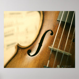 Póster Violin detallado