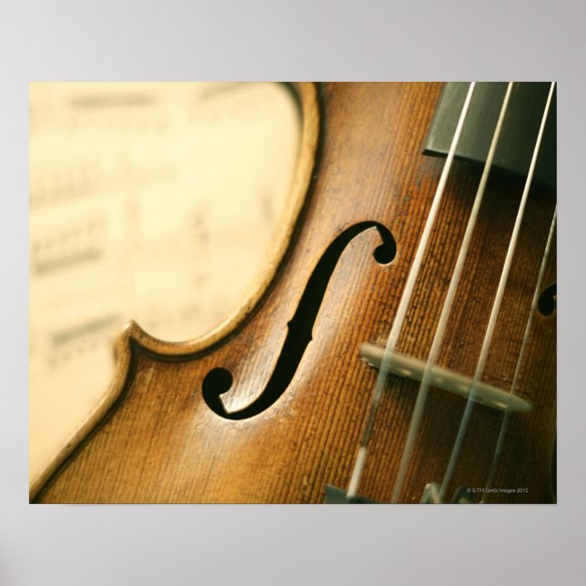 Póster Violin detallado (Frente)