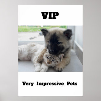 Póster VIP Muy Impresionantes Mascotas Poster de perro de