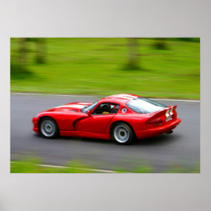 Póster Viper Fang