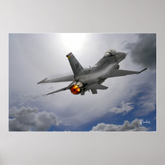 Póster Viper in the Sun