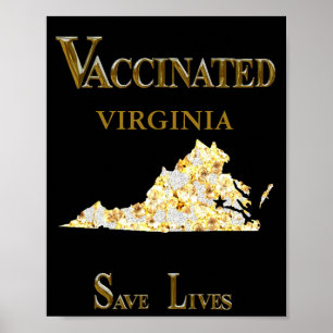 PÓSTER VIRGINIA