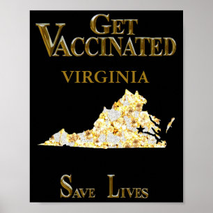 PÓSTER VIRGINIA