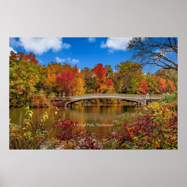 Póster virginia5050 (Frente)