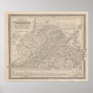 Póster Virginia 10