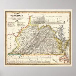 Póster Virginia 5
