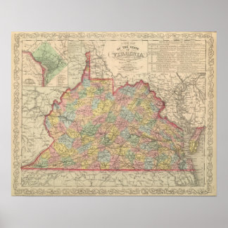 Póster Virginia 9