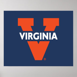 Póster Virginia Split V