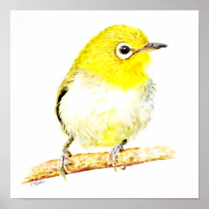 Póster Viro Amarillo