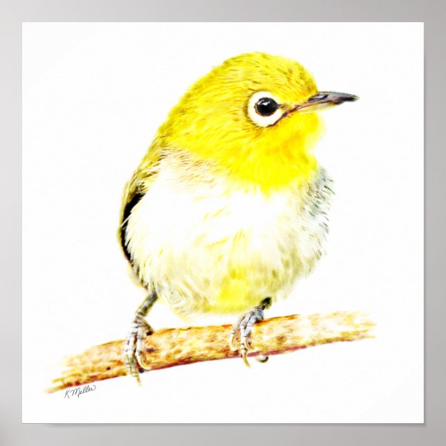 Póster Viro Amarillo (Frente)