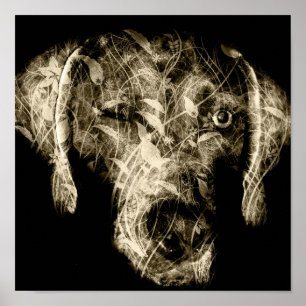Póster viruta de weimaraner