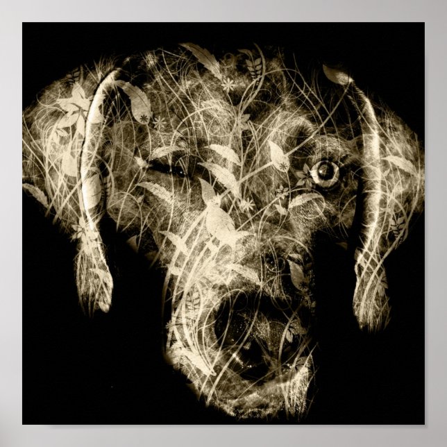 Póster viruta de weimaraner (Frente)