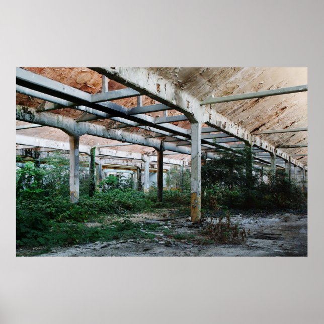 Póster Viscosa 6 (Frente)