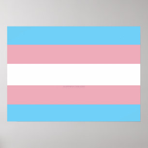 Póster Visibilidad de la bandera del orgullo transgénero 