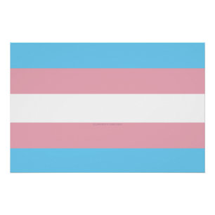 Póster Visibilidad de la bandera del orgullo transgénero 
