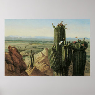 Póster Visión desde la montaña de Maricopa cerca de Río