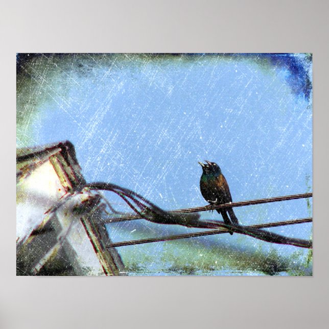 Póster Visión doble (Frente)